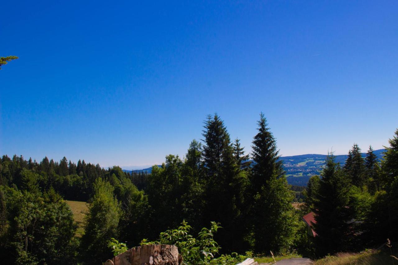 Ferienhaus Ploeckenstein Schwarzenberg am Bohmerwald Eksteriør billede