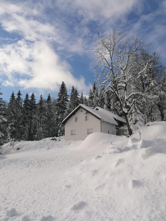 Ferienhaus Ploeckenstein Schwarzenberg am Bohmerwald Eksteriør billede