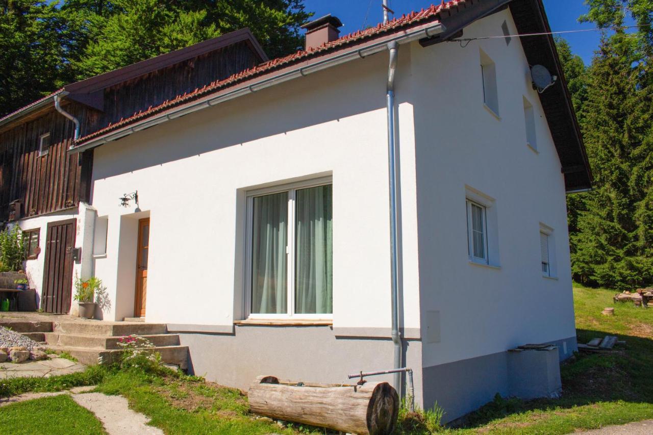Ferienhaus Ploeckenstein Schwarzenberg am Bohmerwald Eksteriør billede