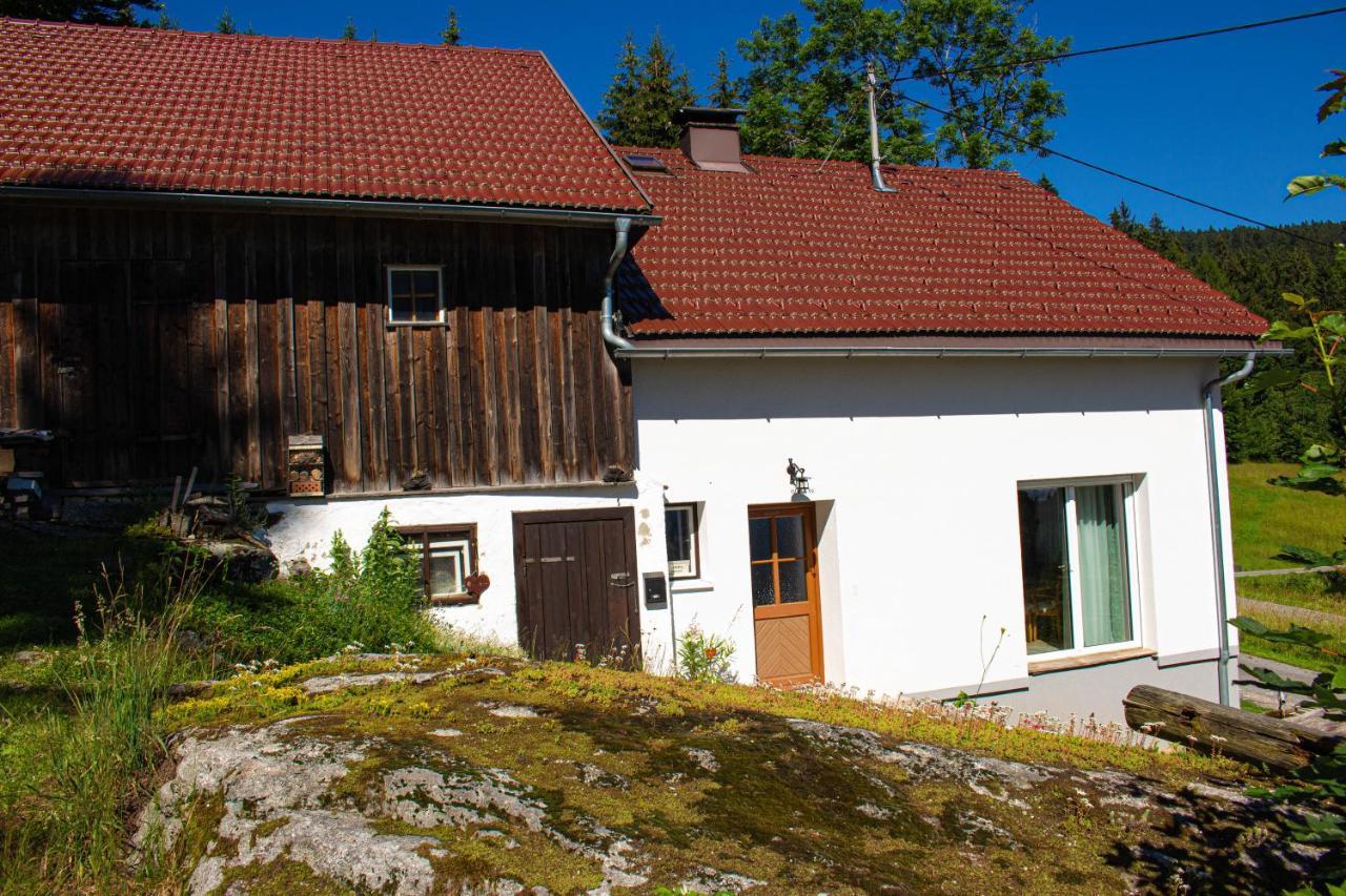 Ferienhaus Ploeckenstein Schwarzenberg am Bohmerwald Eksteriør billede