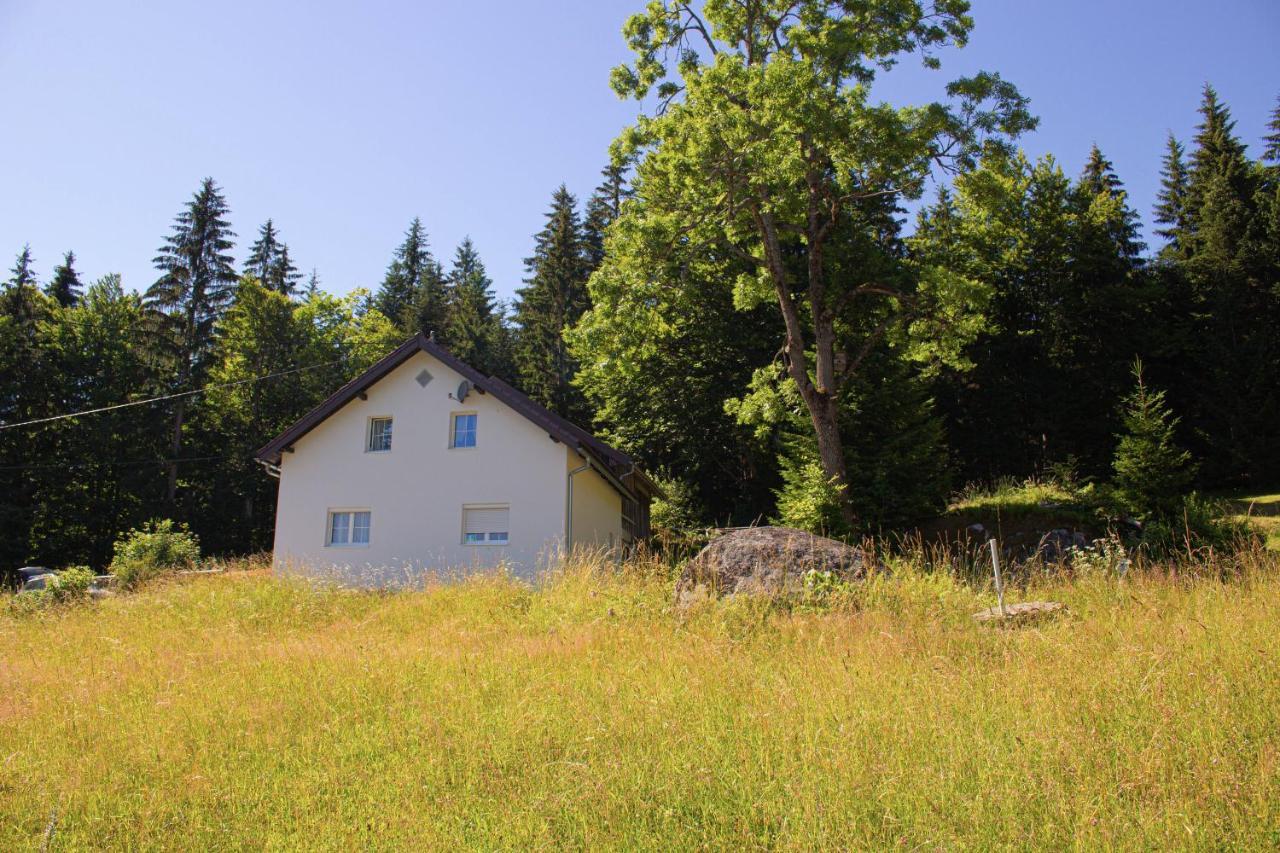Ferienhaus Ploeckenstein Schwarzenberg am Bohmerwald Eksteriør billede