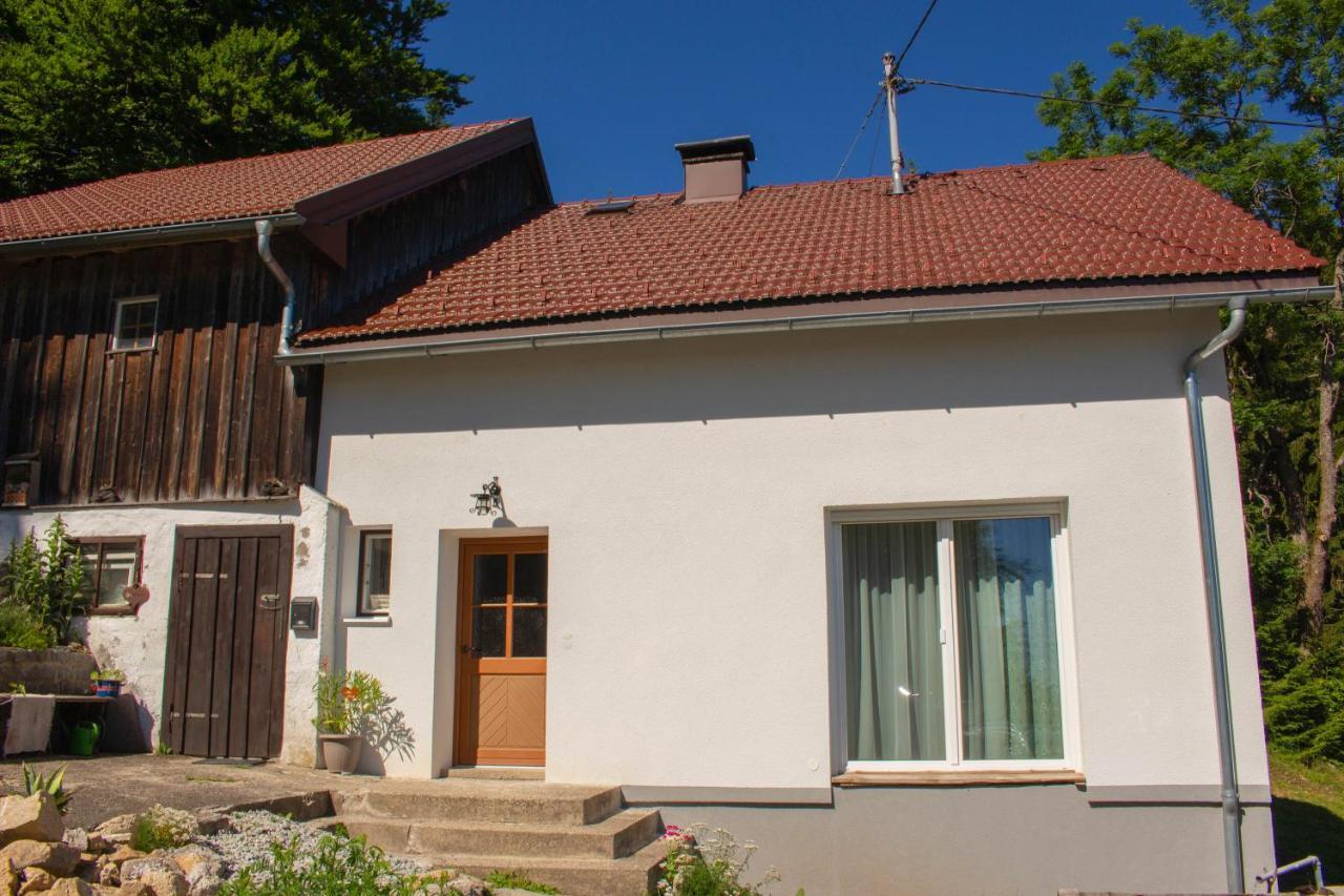 Ferienhaus Ploeckenstein Schwarzenberg am Bohmerwald Eksteriør billede