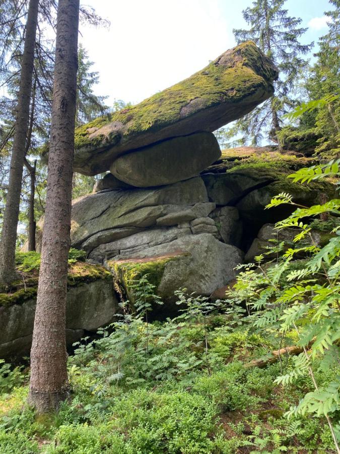 Ferienhaus Ploeckenstein Schwarzenberg am Bohmerwald Eksteriør billede